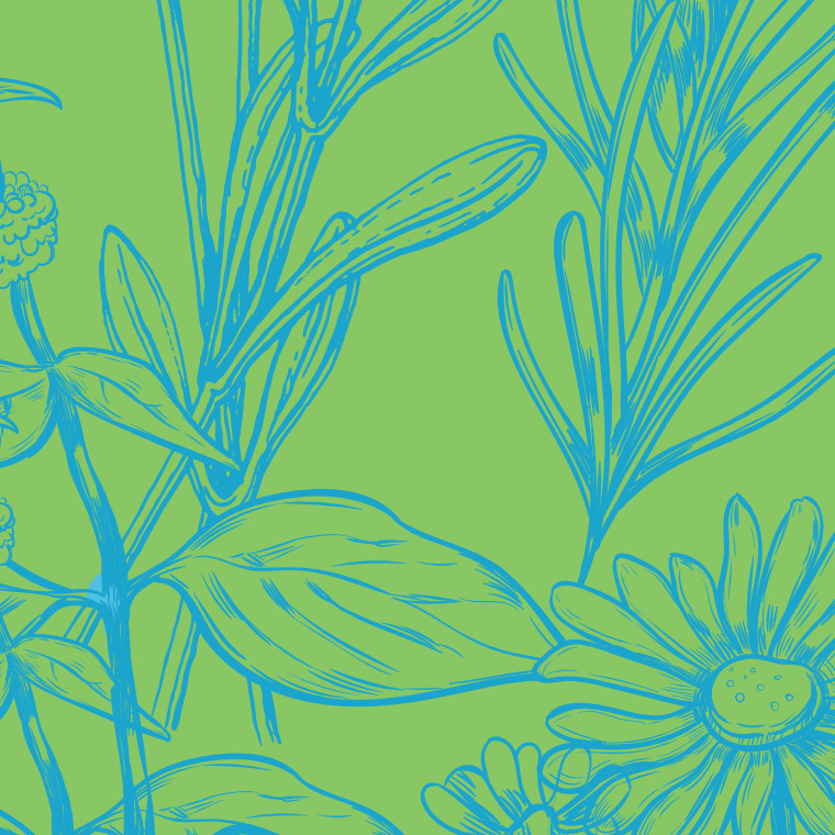 Scented postcard